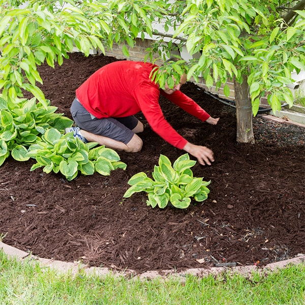 mulch installation is eco-friendly as it helps to reduce water usage, prevent soil erosion, and promote overall soil health